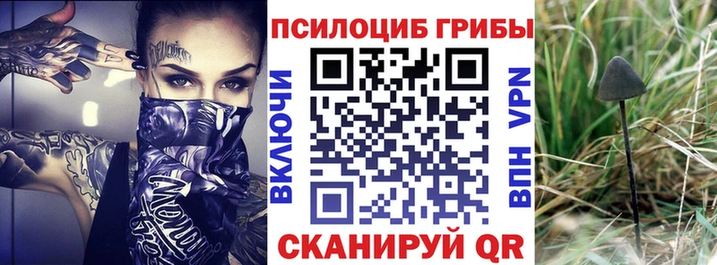 Псилоцибиновые грибы Psilocybine cubensis  Купить  Навашино 